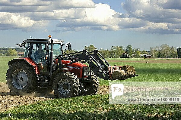 Massey Ferguson 6290 Traktor mit Frontladergabeln  entfernt große Steine von bestellten Ackerflächen  Schweden  Europa
