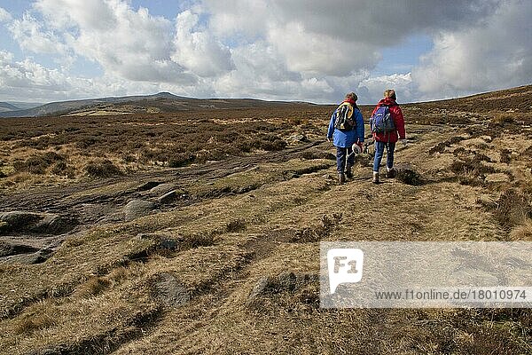 Two walkers walking along an eroded path in upland habitat  Derwent Valley  Peak District  Derbyshire  England  Marsh