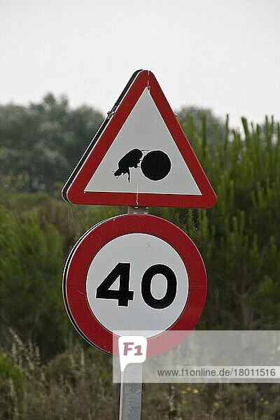 Straßenschilder  Verkehrszeichen  Straßenverkehrszeichen  Schilder  Road sign of dung beetle with dung ball  Coto Donana national park Andalusia Spain