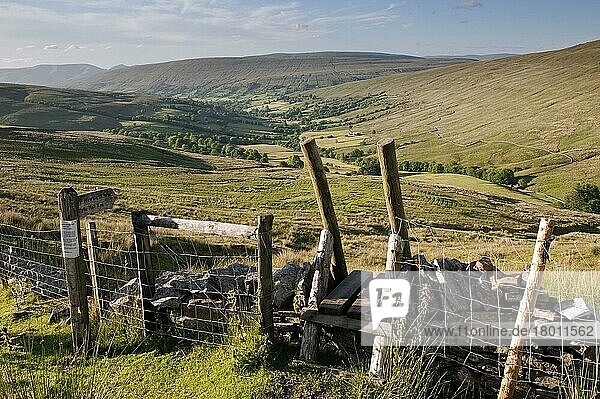 Blick von Whernside Pastures  Cumbria  England  Juli: Blick von Whernside Pastures auf das Ackerland und die Fjälls im Hochland  mit Stelen über Trockenmauern  Blick auf Dentdale