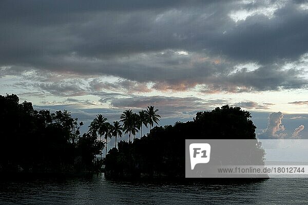 Insel mit Kokosnusspalmen  die sich bei Sonnenuntergang gegen die Wolken abheben  Raja-Ampat-Inseln (Vier Könige)  West-Papua  Neuguinea  Indonesien  Dezember  Asien