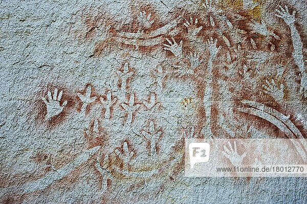 Felskunst der Aborigines  Schablonenkunst  ca. 2000 Jahre alt  zeigt Darstellungen von Händen  Bumerangs  Felswallabyknochen und Emu-Füßen  Kunstgalerie  Carnarvon Gorge  Carnarvon N. P. Queensland  Australien  Ozeanien