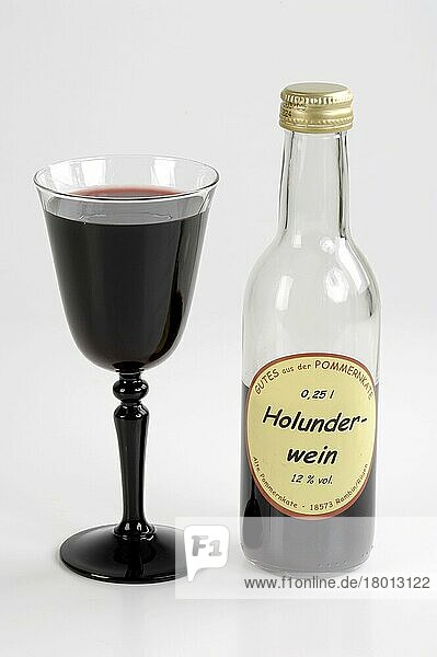 Elder wine  glass and bottle  Schwarzer Holunder (Sambucus nigra)  Wein in Glas und Flasche  Holunderwein  innen  Studio