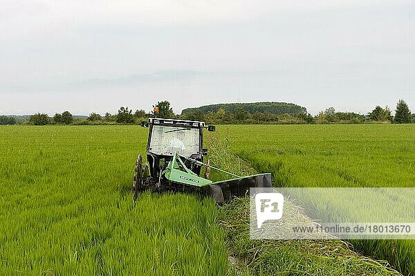 Reis (Oryza sativa) Ernte  Traktor schneidet Vegetation im Entwässerungsgraben  Langosco  Pavia  Lombardei  Norditalien