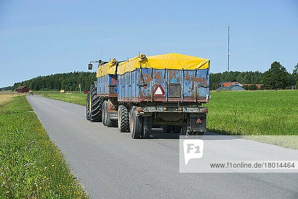 Traktor mit gedeckten Anhängern  transportiert geerntetes Getreide auf Landstraße  Schweden  August  Europa