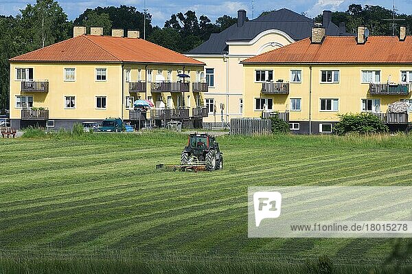 Heuernte  Traktor  Heuwender  Feld neben Häusern  Schweden  Europa