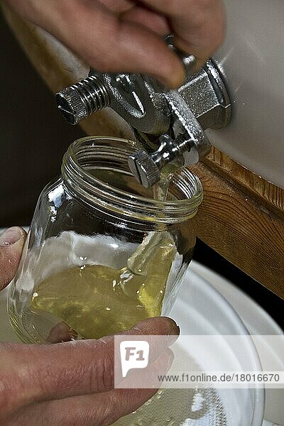 Abfüllen eines Glases Honig aus einem Vorratsfass. Nachdem der Honig aus der Wabe geschleudert und in die Speichertrommel gefiltert wurde  werden durch das Filtern alle unerwünschten Rückstände aus dem Schleuderprozess entfernt