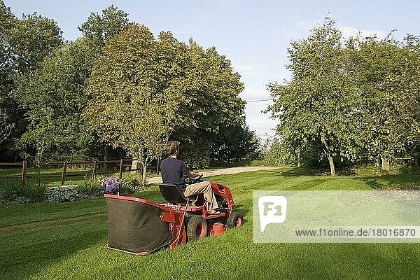 Verwendung einer Fahrt mit einem benzinbetriebenen Traktor-Rasenmäher zum Mähen von Gartenrasen mit Grasfangkorb