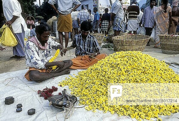 Blumenmarkt insgesamt 5482 Bilder bei Bildagentur