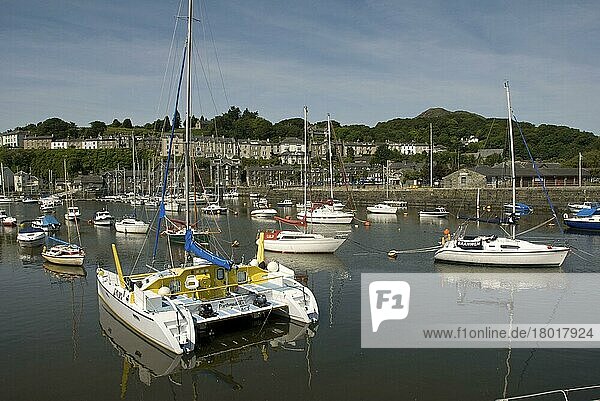 Im Hafen vertäute Boote  Afon-Glaslyn-Mündung  Porthmadog  Gwynedd  Wales  Juni