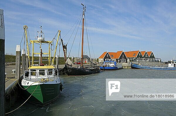 Fischerboote im Hafen von Oudeschild  zugefrorenes Hafenbecken  März 2013  Insel Texel  Nordsee  Nordholland  Niederlande  Europa
