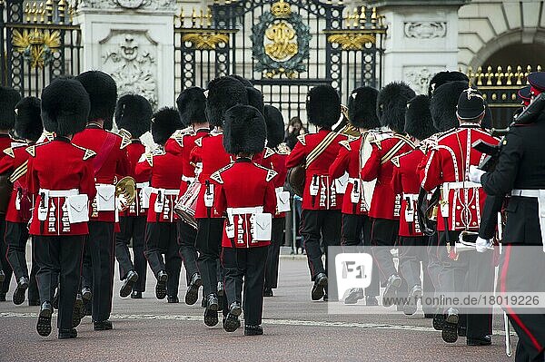 Band of Welsh Guardsmen in ceremonial uniforms  Changing of the Guard outside the Palace  Buckingham Palace  City of Westminster  London  England  United Kingdom  Europe