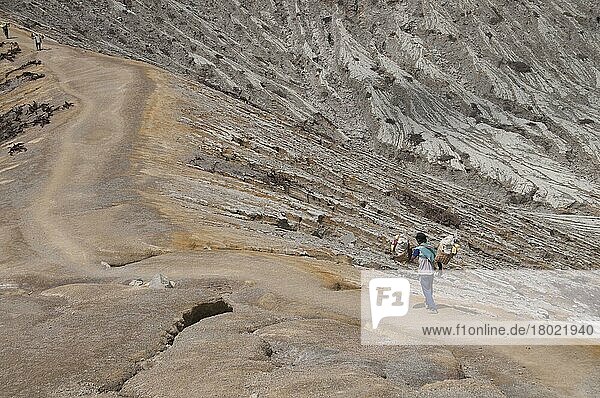 Local man carrying sulphur blocks in baskets on the path around the volcanic crater  Mount Ijen  Mount Ijen  East Java  Indonesia  Asia