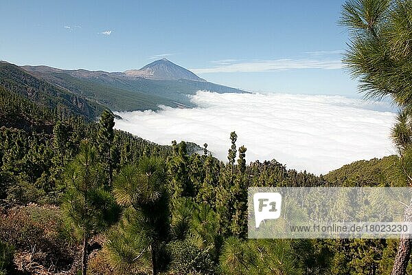 Teide und Meer der Wolken  Mar de Nubes  Teneriffa  Kanarische Inseln  Spanien  Europa