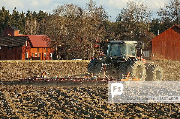 Massey Fergusson 6290 Traktor mit Eggen  Eggen-Feldsaatbett  Schweden  Mai  Europa