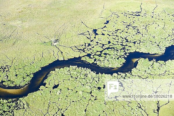Luftaufnahme des Okavango-Deltas  mit einem mäandrierenden Kanal mit Sandbett im Sumpf  Botswana  Afrika