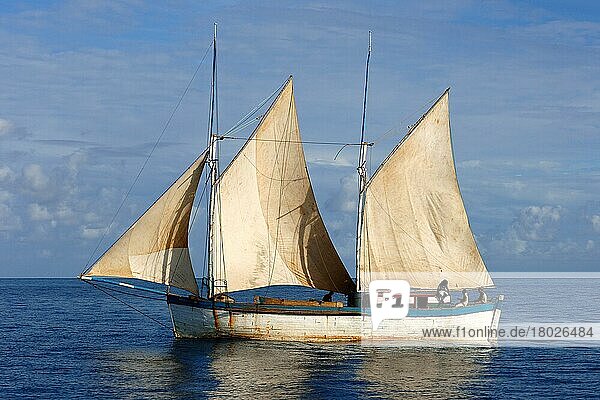 Einheimisches Segelboot  Insel Nosy Be  Madagaskar Indischer Ozean