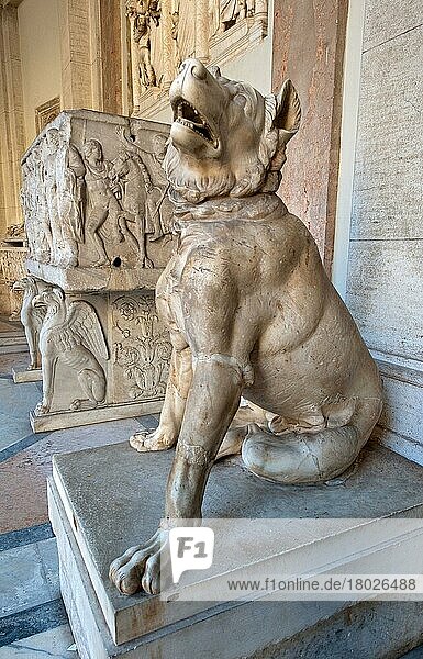 Marmorstatue  Molosser  griechischer Hund  Vatikanische Museen  Vatikan  Rom  Latium  Italien  Europa  Vatikanstadt  Europa