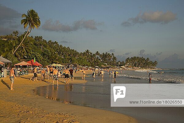 Crowded sandy beach at Mirissa  Sri Lanka  Asia