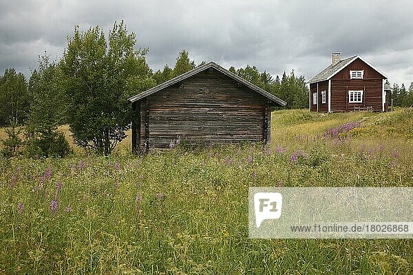 Traditionelle Holzhäuser  Finnland  Juli  Europa