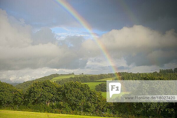 Regenbogen über Hecken  Bäumen und Ackerland  Nordkornwall  England  August