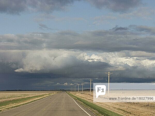 Cumulus-Stauwolken und Regenfälle über der Straße durch Ackerland  North Dakota (U.) S. A. April