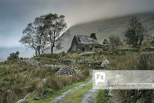 Blick auf Trockenmauern und verlassenes Bauernhaus  Black Valley  Macgillycuddy's Reeks  Killarney  Grafschaft Kerry  Munster  Irland  November  Europa