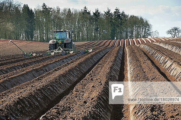 Potato  tractor back field ready for planting potatoes (Solanum tuberosum)  Colemere  Shropshire  England  United Kingdom  Europe