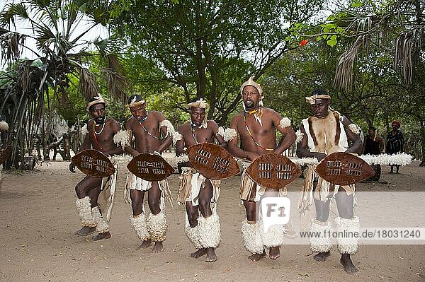 Männer  DumaZulu  Duma Zulu  traditionelles Dorf  Museumsdorf  KwaZulu Natal  Südafrika  Krieger
