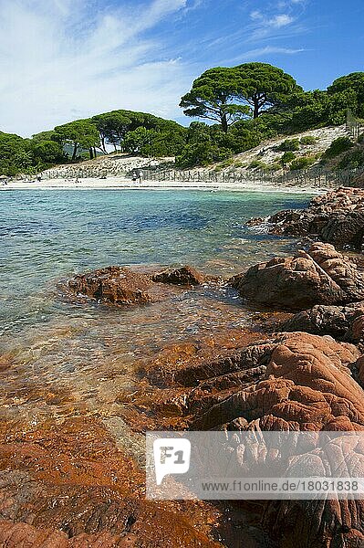 Strand  Palombaggia  Korsika  Frankreich  Europa
