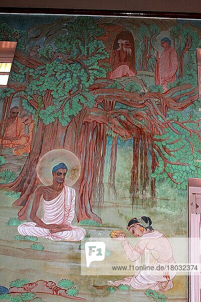Painting  Mulagandhakuti Vihara  Buddhist temple  Sarnath  Uttar Pradesh  India  Asia