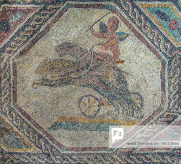 Amorette as charioteer  Roman villa with wonderful mosaic floors  1st-5th century AD Desenzano del Garda  Lake Garda  Italy  Desenzano del Garda  Lake Garda  Italy  Europe