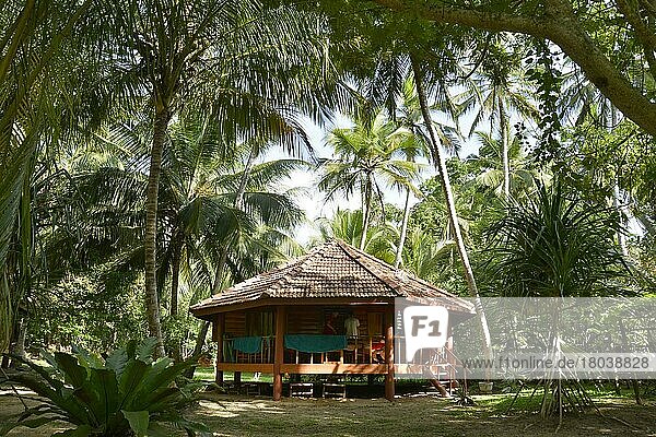 Resort Palm Paradise Cabanas and Villas  Tangalle  Sri Lanka  Asia