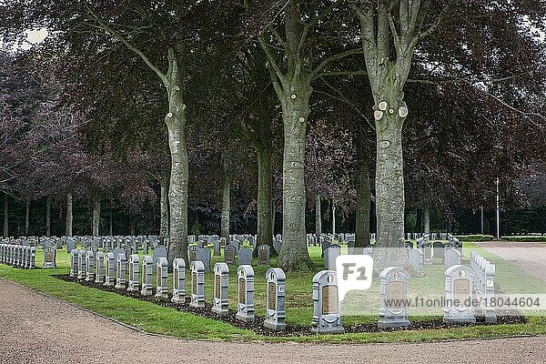 Der belgische Militärfriedhof Houthulst mit Gräbern belgischer Soldaten des Ersten Weltkriegs  Belgien  Europa