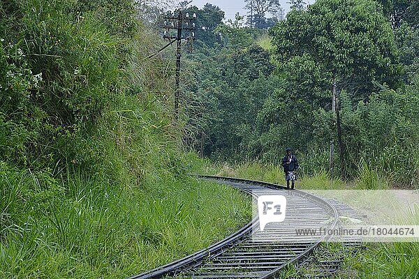 Eisenbahnstrecke  Ella  Sri Lanka  Asien