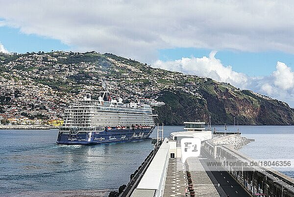 Kreuzfahrtschiff  Funchal  Madeira  Portugal  Europa