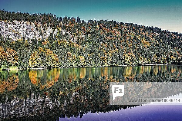 Forest reflected in a lake in the Black Forest  Baden-Württemberg  Germany  Europe