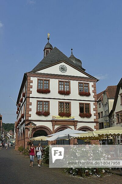 Old Town  Lohr  Bavaria  Germany  Europe