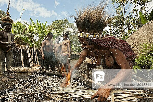 Dani tribe preparing earth oven  Baliem valley  West Papua  Dani  Indonesia  Asia