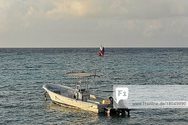 Boot  Playa del Carmen  Quintana Roo  Halbinsel Yucatan  Mexiko  Mittelamerika