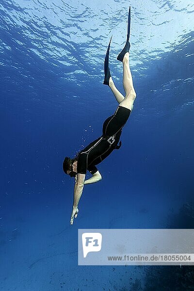 Apnoea diver  freediver  snorkeler  diving  dives  Red Sea  Hurghada  Egypt  Africa