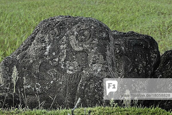 Petroglyphe  Orongo Ceremonial village  Rapa Nui National Park  Osterinsel  Chile  Unesco Weltkulturerbe  Südamerika