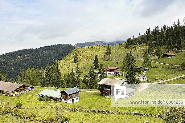 Alpine pasture  Brentenjoch  Kaiser Mountains  Tyrol  Austria  Europe