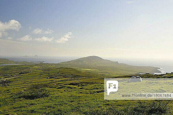 Blick vom Geokaun Mountain  Grafschaft Kerry  Irland  Valentia Island  Europa