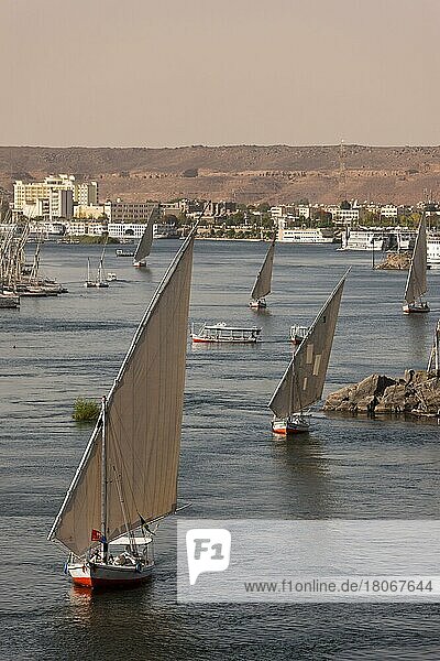 Segelschiffe auf dem Nil  Assuan  Feluke  Feluken  Ägypten  Afrika