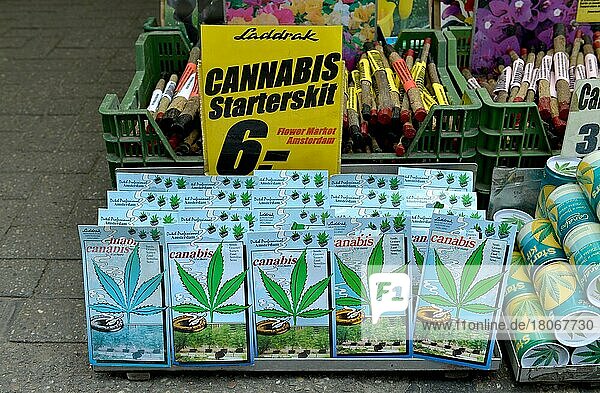 Cannabis  Bloemenmarkt  Singel  Amsterdam  Niederlande  Europa