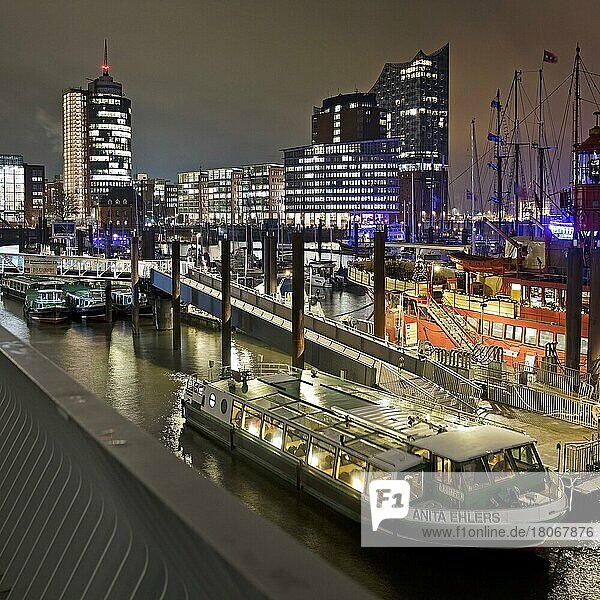 Boote am City Sporthafen  dahinter die Hafencity mit der Elbphilharmonie in der Nacht  Hamburg  Deutschland  Europa