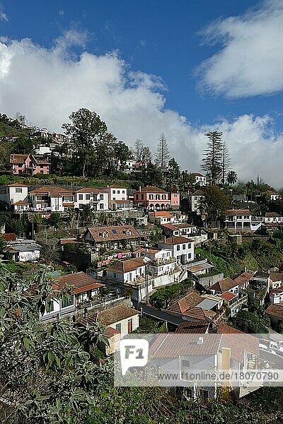 Wohnhäuser  Monte  Funchal  Madeira  Portugal  Europa