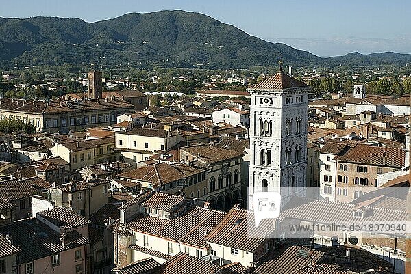View from the Torre Civica Delle Ore  Lucca  Tuscany  Italy  Europe