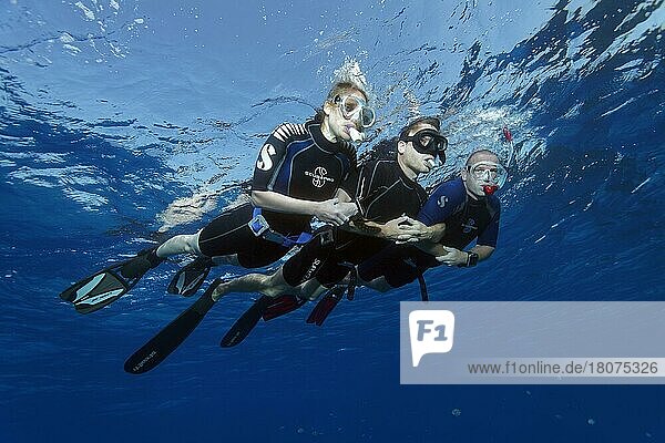Apnoea diver  freediver  snorkeller  couple  man woman snorkelling for safety hooked by arms on the sea surface  Red Sea  Hurghada  Egypt  Africa